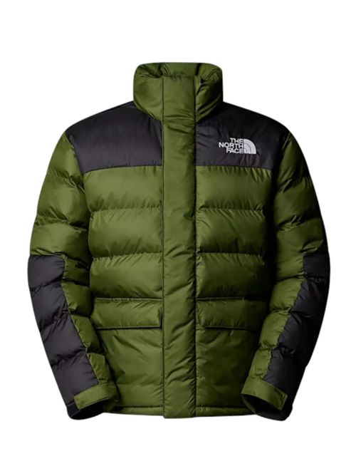 LIMBARA THE NORTH FACE | NF0A89EGBRI1GREEN